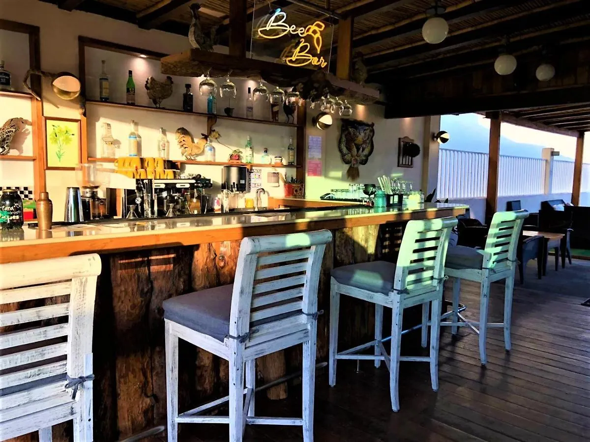 Hotel 12 BEES Playa del Carmen